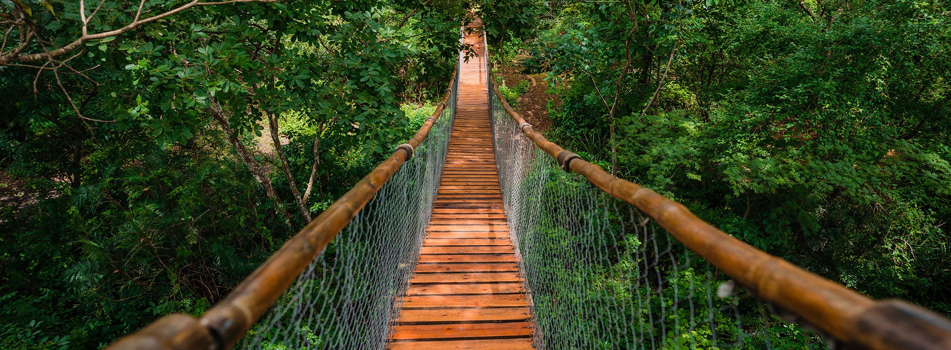 Nekupe Hängebrücke