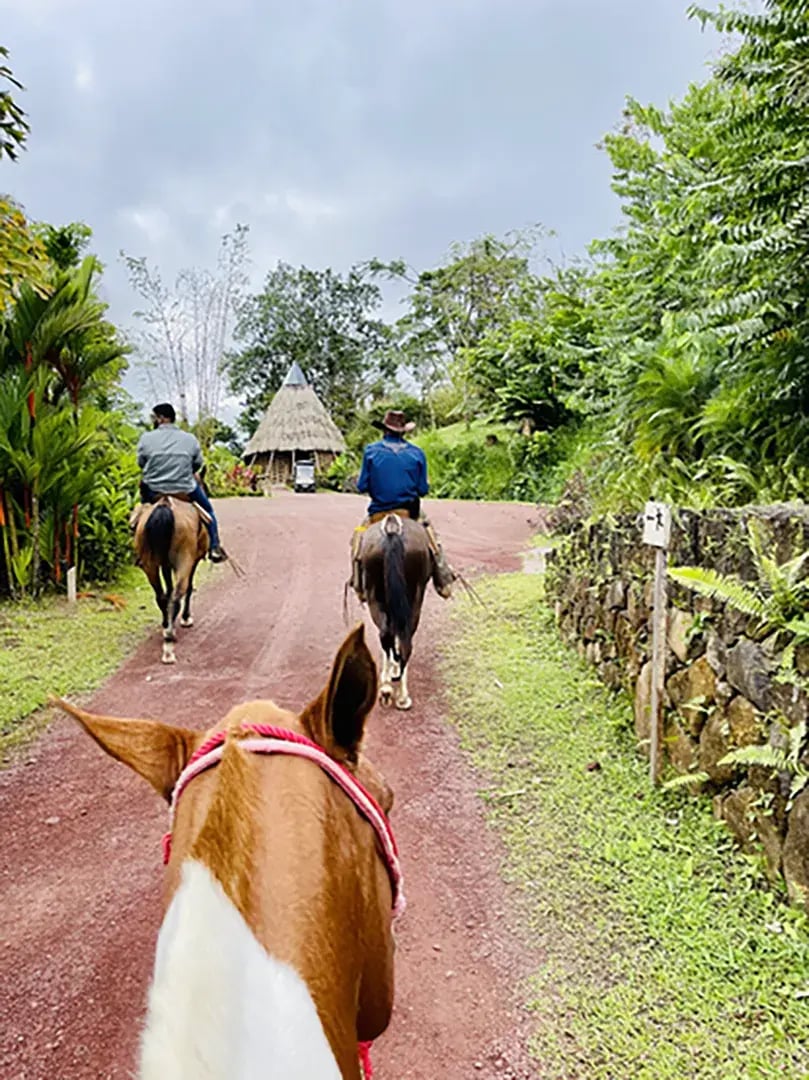 origins lodge costa rica mittelamerika aktivitaten kanu familienvergnugen the family project luxus privatbilder ausritt