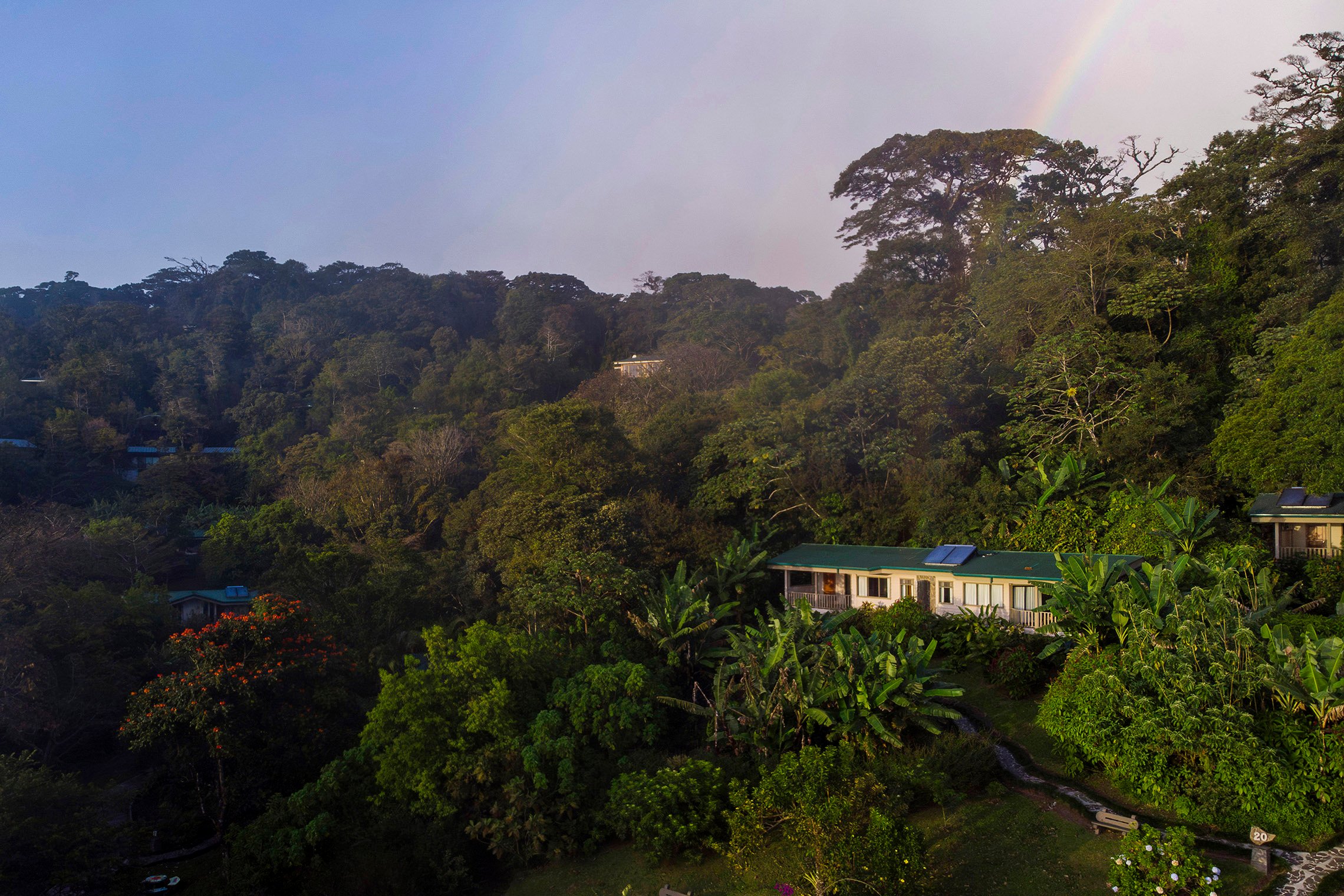 Senda Monteverde Hotel Unterkunft im Grünen