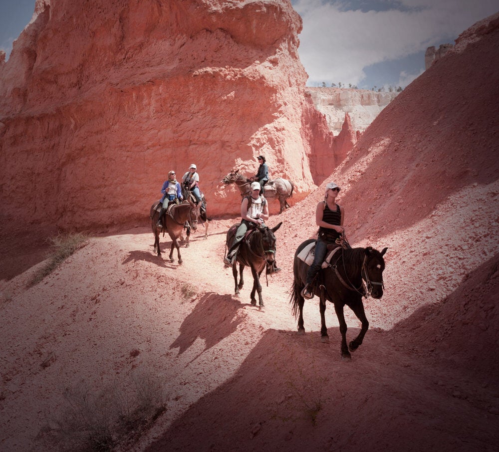 Camp Sarika by Amangiri Horse riding