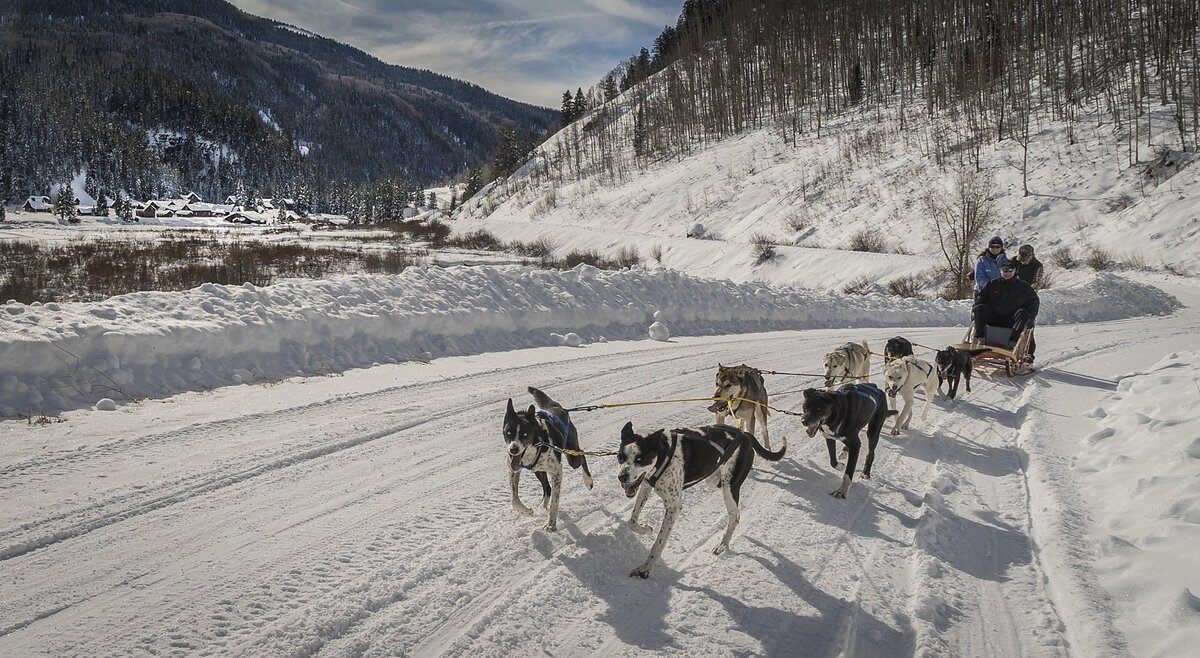 Dunton hot springs Schlittenhundefahrt