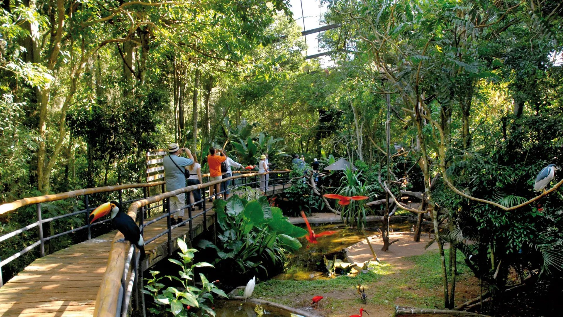 hotel das cataratas a belmond hotel iguazu brasilien sudamerika pool terrasse the family project luxus familie kinder reisen