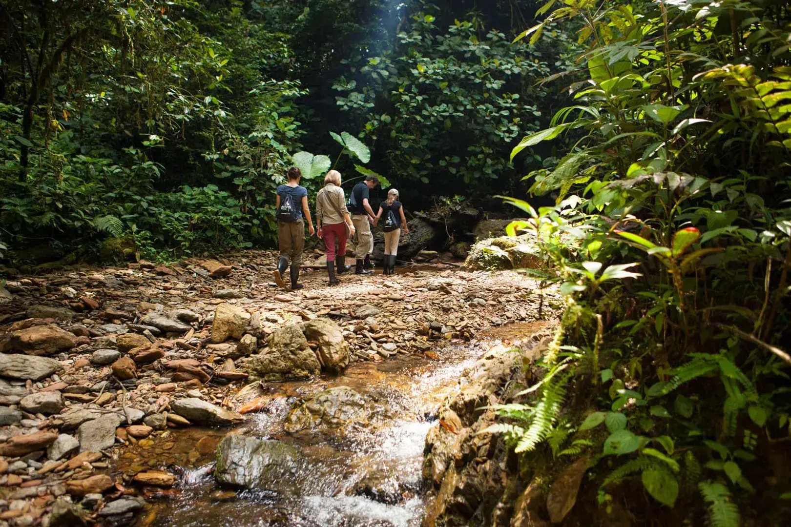 mashpi lodge reserve ecuador anden sudamerika wandern familienvergnugen exklusiv regenwald luxus urlaub kinder the family project