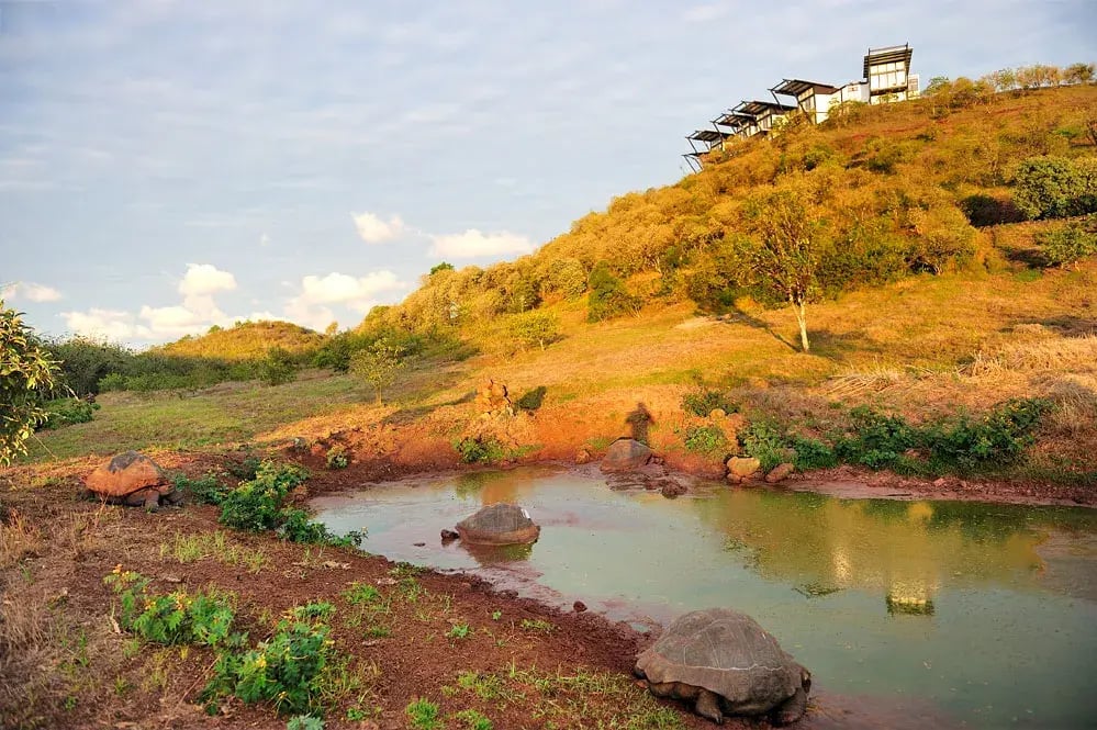 pikaia lodge galapagos inseln ecuaduor sudamerika schildkroten exklusiv luxus urlaub kinder the family project