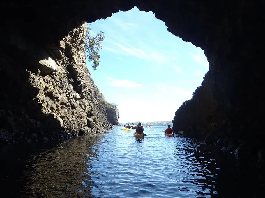 the lodge at kauri cliffs northland neuseeland sudpazifik aktivitaten luxus urlaub kinder the family project