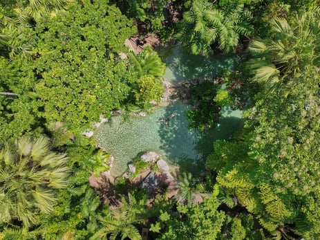 1 silky oaks lodge daintree rainforest regendwald australien ubersicht sudpazifik luxus urlaub kinder the family project