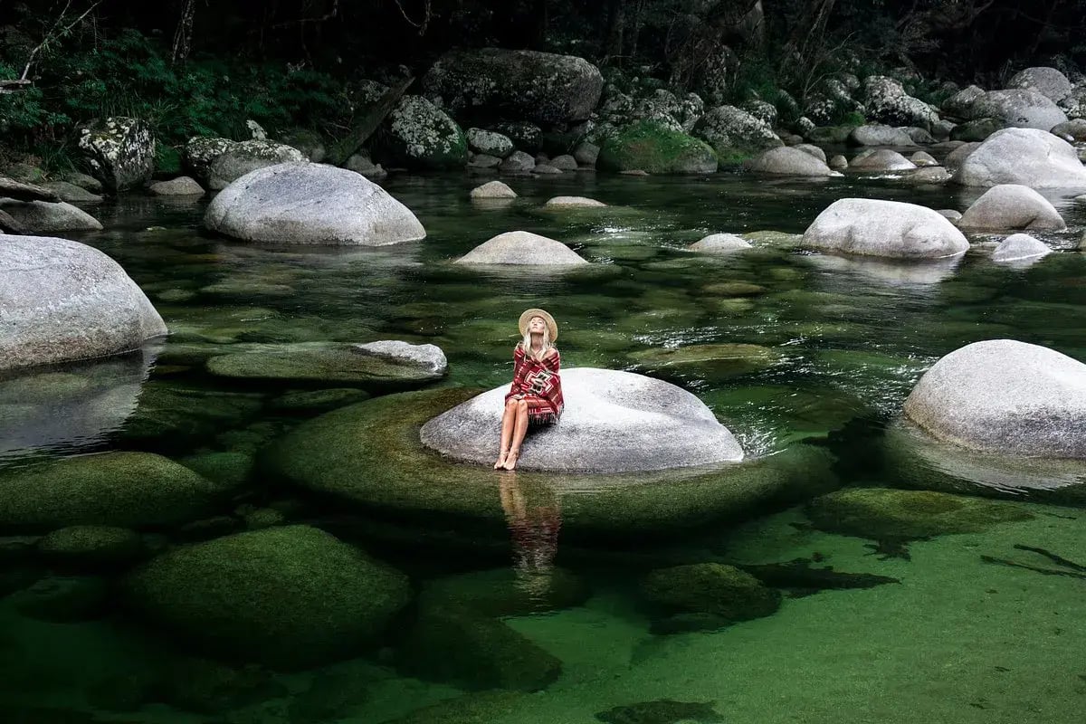 silky oaks lodge daintree rainforest regendwald australien natur sudpazifik luxus urlaub kinder the family project