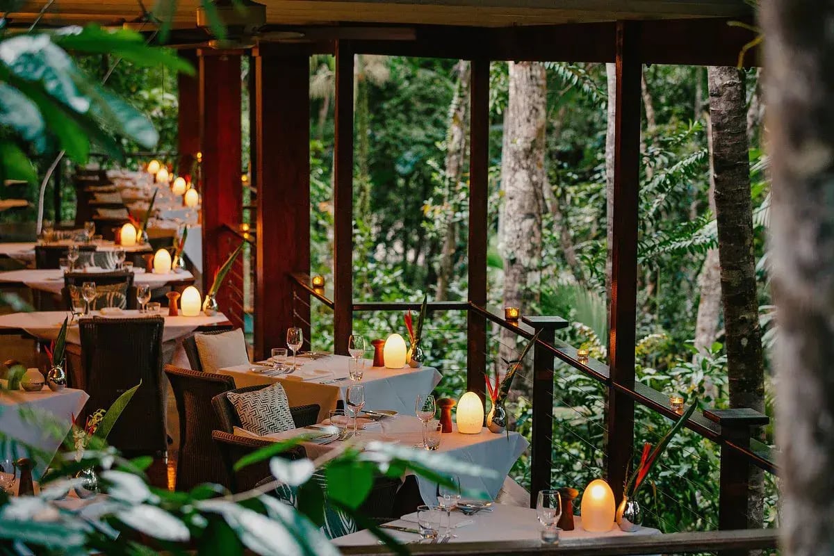 silky oaks lodge daintree rainforest regendwald australien restaurant sudpazifik luxus urlaub kinder the family project