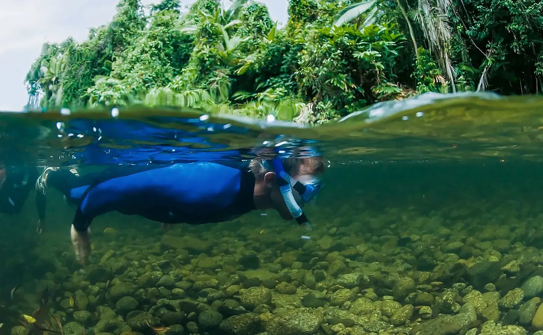 silky oaks lodge daintree rainforest regendwald australien sudpazifik fluss erkundigung schnorcheln luxus urlaub kinder the family project