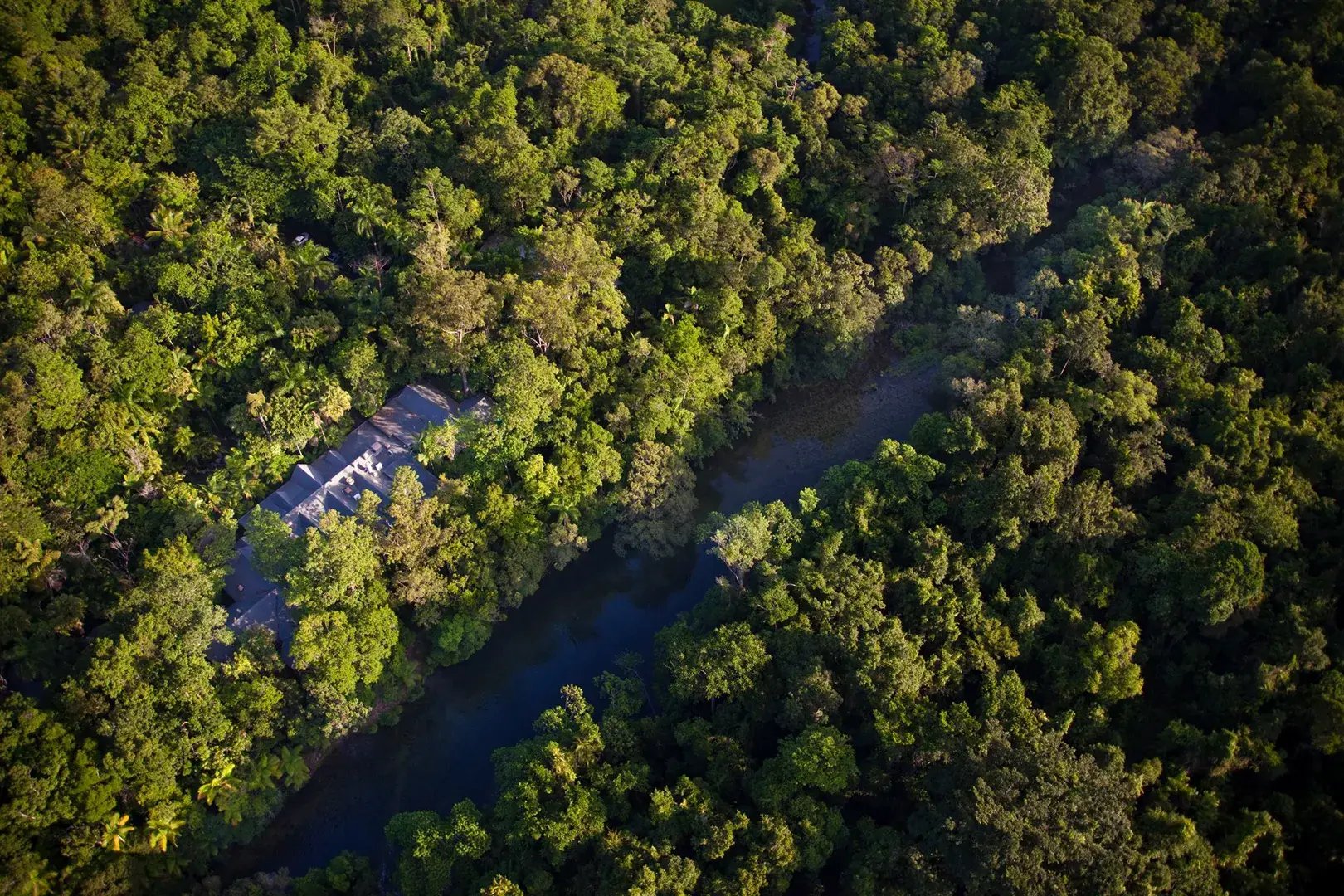 silky oaks lodge daintree rainforest regendwald australien sudpazifik luxus urlaub kinder the family project natur