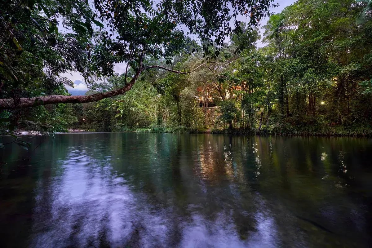 silky oaks lodge daintree rainforest regendwald australien sudpazifik luxus urlaub kinder the family project