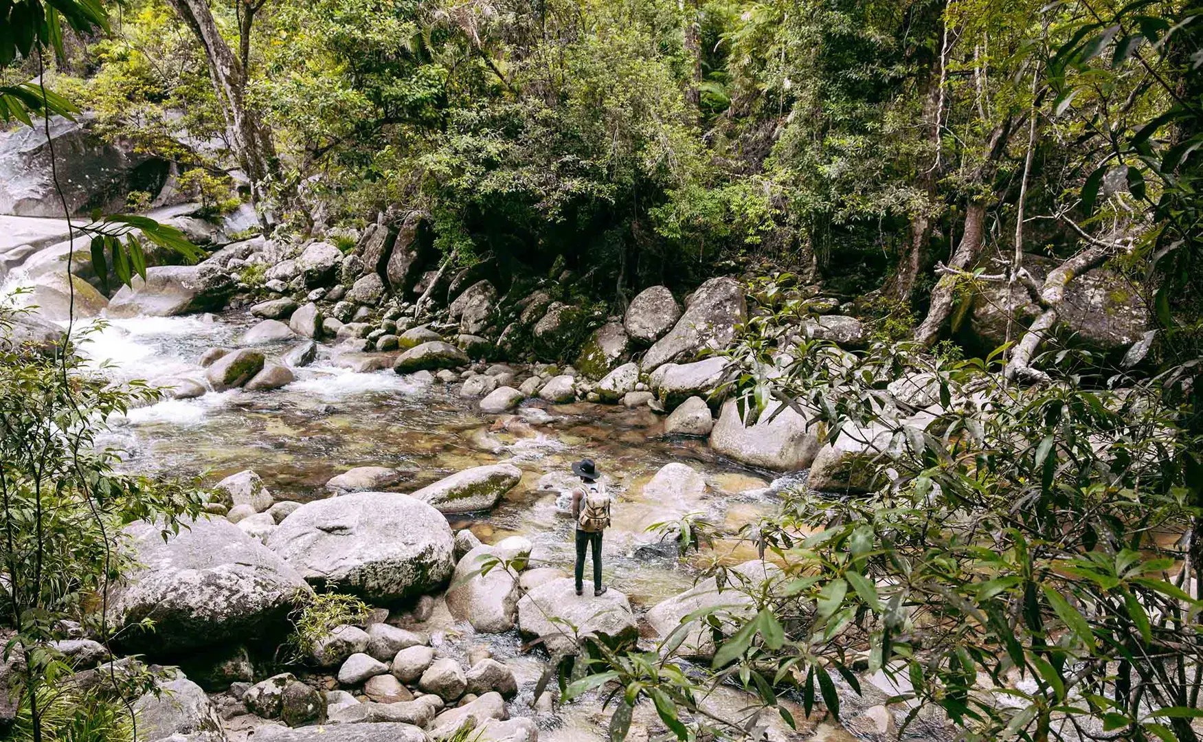 silky oaks lodge daintree rainforest regendwald australien restaurant exklusiv kinderfreundlich sudpazifik luxus urlaub kinder the family project