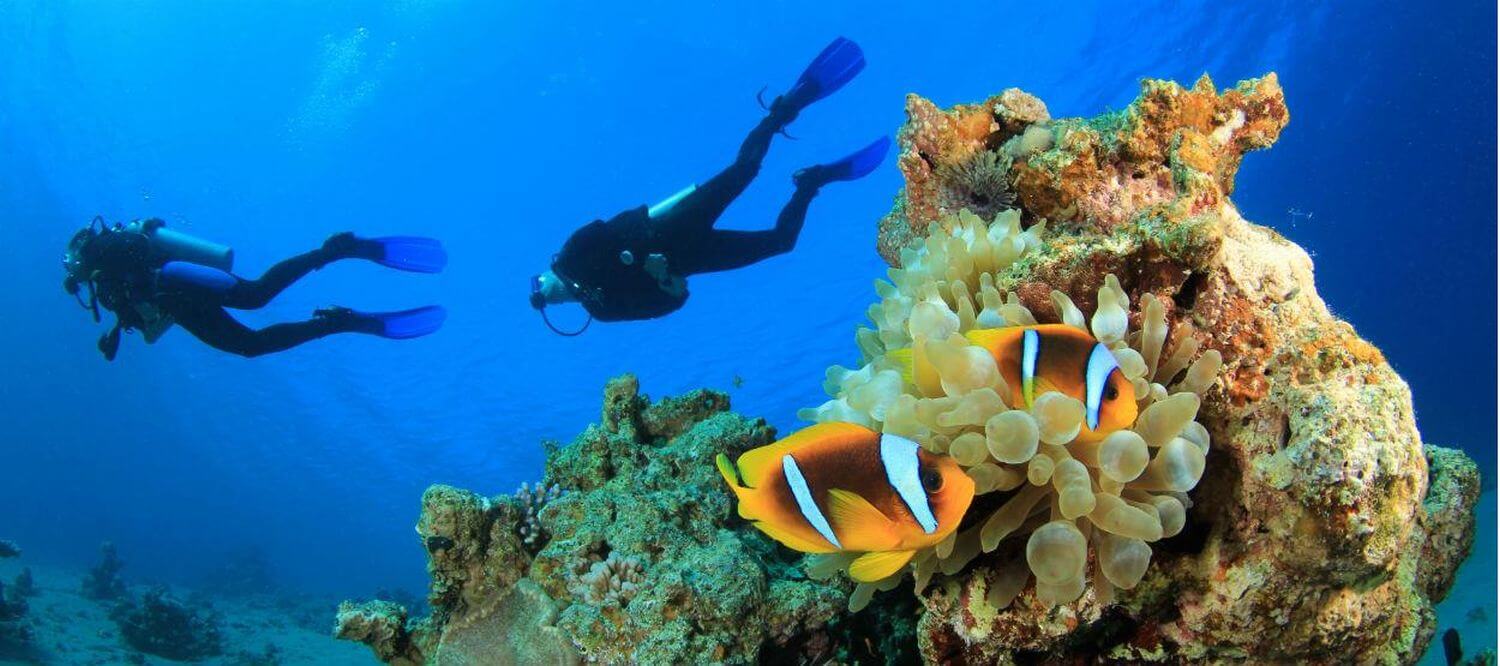 vakkaru-maldives-tauchen