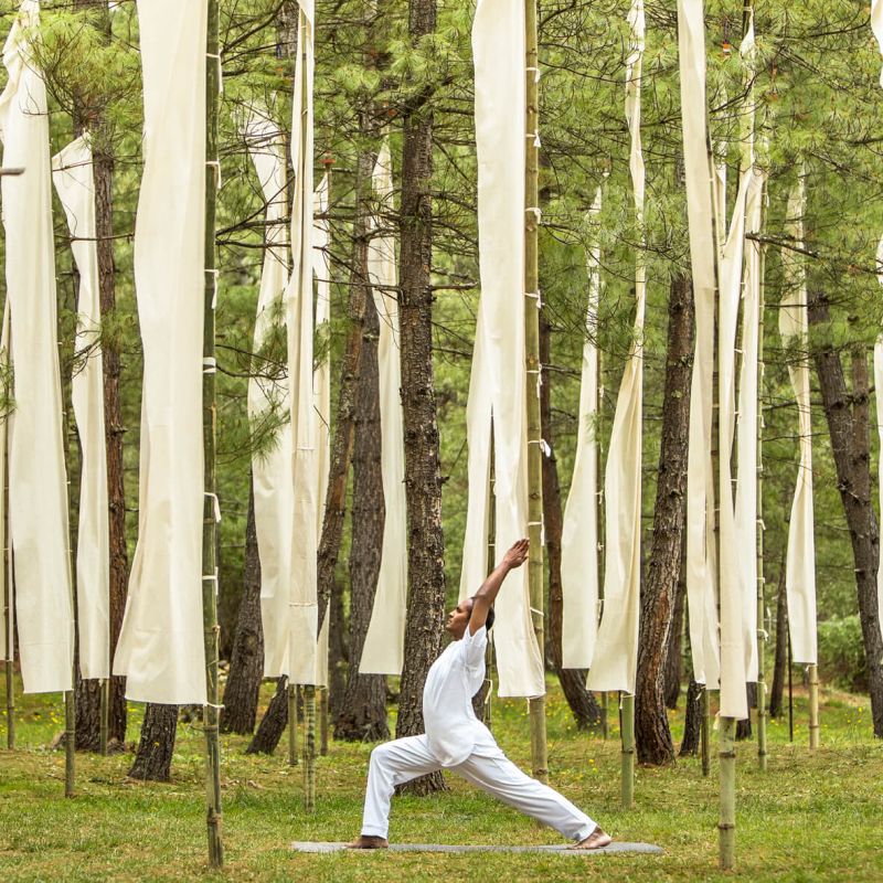 yoga